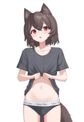 Rule 34 | 1girl, :o, absurdres, animal ear fluff, animal ears, black panties, black shirt, brown hair, clothes lift, ellu, highres, lifted by self, looking at viewer, navel, no pants, open mouth, original, panties, red eyes, shirt, shirt lift, short hair, short sleeves, simple background, stomach, t-shirt, tail, underwear, white background