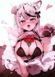 Rule 34 | 1girl, ahoge, alternate costume, animal ear fluff, animal ears, animal hands, apron, aya02ka, black hair, blush, bow, bra, breasts, cleavage, clothes lift, collar, dress, ear piercing, enmaided, frills, gloves, grey hair, hair ornament, heart, heart-shaped pupils, highres, hololive, large breasts, leash, looking at viewer, maid, maid apron, maid headdress, multicolored hair, open mouth, piercing, puffy sleeves, red eyes, sakamata chloe, solo, spiked collar, spikes, streaked hair, symbol-shaped pupils, teeth, tongue, tongue out, underwear, upper teeth only, viewer holding leash, virtual youtuber, x hair ornament