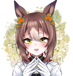 Rule 34 | 1girl, animal ears, blush, brown hair, clover hair ornament, fine motion (umamusume), flower, gloves, green eyes, hair between eyes, hair ornament, highres, horse ears, horse girl, looking at viewer, multicolored hair, open mouth, petals, portrait, short hair, simple background, smile, solo, two-tone hair, umamusume, white background, white flower, white gloves, white hair, yoma (lycoris109)