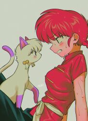 Rule 34 | 1girl, angry, annoyed, blush, braid, braided ponytail, breasts, cat, chinese clothes, highres, menma (enaic31), ranma-chan, ranma 1/2, red hair, shampoo (cat), tangzhuang, teeth, wet