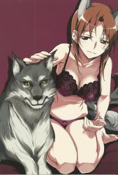 Rule 34 | 1girl, absurdres, animal, animal ears, bra, breasts, cleavage, highres, kurashima tomoyasu, medium breasts, minna-dietlinde wilcke, panties, red background, red eyes, red hair, scan, short hair, simple background, strike witches, tail, underwear, wolf, wolf ears, wolf tail, world witches series