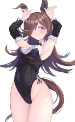 Rule 34 | 1girl, absurdres, animal ears, armpits, arms up, bare legs, black bow, black bowtie, black hair, black leotard, black sleeves, blush, bow, bowtie, breasts, brown hair, closed mouth, commentary, covered navel, cowboy shot, detached sleeves, groin, hair over one eye, half-closed eyes, highres, horse ears, horse girl, horse tail, leotard, long hair, looking at viewer, maimuu, playboy bunny, purple eyes, rabbit pose, rice shower (umamusume), side-tie leotard, sleeveless, small breasts, smile, solo, standing, strapless, strapless leotard, tail, thigh gap, umamusume