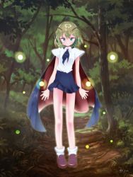 Rule 34 | 1girl, antennae, black cape, black neckerchief, black skirt, breasts, brown footwear, bug, bush, cape, closed mouth, collared shirt, commentary, firefly, forest, full body, grass, green eyes, green hair, insect, kari (atsuki 565), looking at viewer, nature, neckerchief, outdoors, path, red cape, road, shirt, shoes, short hair, short sleeves, skirt, small breasts, smile, socks, solo, touhou, tree, two-sided cape, two-sided fabric, white shirt, white socks, wriggle nightbug