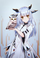 Rule 34 | animal ears, arknights, bird, buckle, chromatic aberration, closed mouth, dress, feather hair, highres, long hair, looking at viewer, owl, owl ears, ptilopsis (arknights), ptilopsis (elite ii) (arknights), silver hair, solo, standing, white dress, yellow eyes, yukiri (l ii)