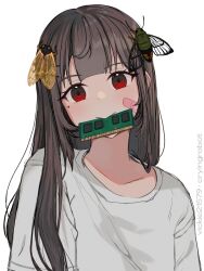 Rule 34 | 1girl, animal, animal on head, bandaid, bandaid on cheek, bandaid on face, brown hair, bug, cicada, commentary, english commentary, highres, insect, long hair, looking at viewer, mole, mole under eye, mouth hold, on head, original, ram (computer), red eyes, ringed eyes, shirt, simple background, solo, upper body, vickie (cryingrobot), vickie (cryingrobot) (character), white background, white shirt