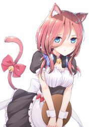 Rule 34 | 1girl, alternate costume, animal ear fluff, animal ears, apron, back bow, bell, black dress, black sleeves, blue eyes, blush, bow, breasts, brown hair, cat ears, cat girl, cat tail, choker, cleavage, closed mouth, commentary, dress, enmaided, eyelashes, frilled apron, frilled dress, frilled sleeves, frills, go-toubun no hanayome, hair between eyes, hair over shoulder, headphones, highres, holding, holding tray, large breasts, long hair, looking at viewer, maid, maid apron, maid headdress, medium breasts, nakano miku, neck bell, own hands together, pout, profnote, puffy short sleeves, puffy sleeves, red bow, red choker, ribbon, short sleeves, simple background, solo, standing, tail, tail bell, tail bow, tail ornament, tray, v-shaped eyebrows, white background, white bow, white ribbon, white wrist cuffs, wrist cuffs