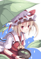 Rule 34 | 1girl, ascot, blonde hair, blush, colored eyelashes, drop, fang, female focus, flandre scarlet, gurasion (gurasion), hat, hat ribbon, highres, holding, leaf, plant, potted plant, puffy sleeves, red eyes, ribbon, short hair, side ponytail, smile, solo, touhou, water drop, wings, wrist cuffs