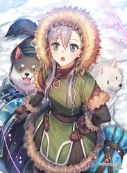 Rule 34 | 1girl, blush, brown gloves, company name, copyright name, dog, gloves, green eyes, grey hair, long hair, looking at viewer, looking up, parted lips, sid story, sila (carpen), solo, twitter username