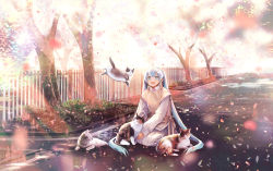 Rule 34 | 1girl, aqua hair, bare shoulders, cat, cherry blossoms, chris4708, commentary, falling petals, fence, hatsune miku, highres, long hair, long skirt, open mouth, outdoors, petals, road, scenery, shirt, skirt, smile, street, tree, twintails, twitter username, very long hair, vest, vocaloid, white shirt, white skirt