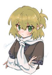 Rule 34 | 1girl, amami (ama333), blonde hair, blush, breasts, brown shirt, closed mouth, commentary, crossed arms, frown, green eyes, hair between eyes, half updo, highres, layered sleeves, long sleeves, looking at viewer, medium bangs, mizuhashi parsee, scarf, shirt, short hair, short over long sleeves, short sleeves, simple background, small breasts, solo, touhou, twitter username, upper body, white background, white scarf