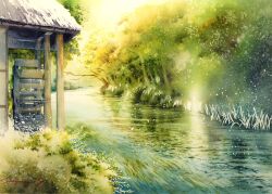 Rule 34 | dappled sunlight, day, forest, highres, nature, original, painting (medium), scenery, shimizu megumi (m acquerello), sunlight, traditional media, tree, water, watercolor (medium)