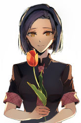 Rule 34 | 1girl, absurdres, akuma no riddle, black bow, black hairband, black shirt, blue hair, bow, bow hairband, breasts, closed mouth, collared shirt, flower, hair bow, hair intakes, hairband, highres, holding, holding flower, looking at viewer, medium breasts, necktie, pink necktie, plaid necktie, plaid neckwear, red flower, shirt, short hair, short sleeves, shutou suzu, simple background, sketch, smile, solo, tozaki (r sailing), tulip, upper body, white background, wing collar, yellow eyes