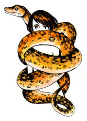 Rule 34 | 1girl, arms at sides, blank stare, colored skin, commentary, english commentary, expressionless, facing viewer, food, fruit, greyscale, heikala, highres, inktober, monochrome, nude, orange (fruit), original, python, short hair, simple background, snake, standing, white background, white skin