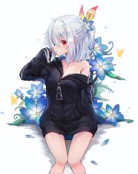 Rule 34 | 1girl, bare legs, black jacket, blue flower, blush, breasts, bug, butterfly, cleavage, collarbone, commentary, feet out of frame, flower, fuji sakura, hair between eyes, hair flower, hair ornament, hair ribbon, hand up, highres, hood, hood down, hooded jacket, hoodie, insect, jacket, long sleeves, looking at viewer, medium breasts, off shoulder, one side up, original, petals, red eyes, ribbon, simple background, single bare shoulder, sitting, sleeves past wrists, solo, thighs, twitter username, white background, white hair, yellow ribbon, zipper, zipper pull tab