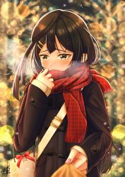 Rule 34 | 1girl, absurdres, black coat, black hair, blurry, blurry background, blush, bright09, christmas, coat, covering own mouth, grey eyes, hair ornament, hairclip, highres, lens flare, long hair, long sleeves, looking away, love live!, love live! nijigasaki high school idol club, nail polish, pink nails, red scarf, scarf, signature, solo, standing, upper body, winter, winter clothes, winter coat, yuuki setsuna (love live!)