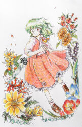 Rule 34 | 1girl, ascot, brown footwear, buttons, closed mouth, collared shirt, dress shirt, flower, frilled ascot, frills, green hair, kazami yuuka, loafers, medinki, medium hair, medium skirt, official style, open clothes, open vest, plaid, plaid skirt, plaid vest, red eyes, red skirt, red vest, rose, shirt, shoes, skirt, smile, socks, solo, spider lily, steepled fingers, sunflower, touhou, traditional media, vest, white shirt, white socks, yellow ascot, zun (style)