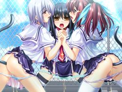 3girls anal anal_beads anal_object_insertion anal_tail black_hair blue_eyes blush butt_plug fake_tail game_cg goshujinsama_daisuki holding_hands interlocked_fingers kuu_spitfire long_hair multiple_girls murakumo_sakura object_insertion open_mouth panties peeing peeing_together red_eyes red_hair school_uniform sex_toy shishiouin_hime silver_hair skirt tail uncensored underwear yellow_eyes