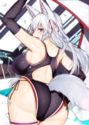Rule 34 | 1girl, animal ear fluff, animal ears, ass, bare shoulders, blush, breasts, day, fang, fox ears, fox tail, gloves, grey hair, hair ornament, hair ribbon, highres, indoors, long hair, looking at viewer, looking back, open mouth, pool, ribbon, solo, swimsuit, tail, thighhighs, water, yashiro sousaku