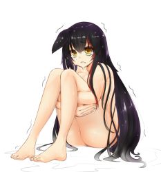 Rule 34 | 1girl, animal ears, bad id, bad pixiv id, black hair, breasts, clenched teeth, commentary request, ears down, full body, highres, hololive, hugging own legs, long hair, lunch boxer, medium breasts, multicolored hair, nude, ookami mio, red hair, simple background, sitting, solo, streaked hair, tears, teeth, trembling, very long hair, virtual youtuber, wet, white background, wolf ears, yellow eyes
