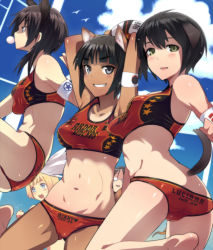 Rule 34 | 5girls, animal ears, armpits, arms up, ass, ball, barefoot, beach volleyball, belly, black hair, blonde hair, blowing bubbles, blue eyes, breasts, brown hair, butt crack, cameltoe, character name, chewing gum, dominica s. gentile, em (totsuzen no hakike), feet, glasses, green eyes, grey eyes, head wings, highres, holding, holding ball, jane t. godfrey, looking at viewer, luciana mazzei, medium breasts, midriff, multiple girls, muscular, nakajima nishiki, playing sports, ponytail, short hair, sidelocks, sports bikini, strike witches, strike witches: kurenai no majo-tachi, suwa amaki, tail, tan, tanline, very short hair, volleyball, volleyball (object), wings, world witches series
