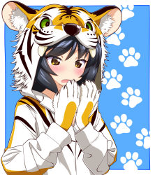 Rule 34 | 1girl, animal costume, animal hood, animal print, black hair, blue background, blush, brown eyes, commentary request, datemaki 360, girls und panzer, highres, hood, hood up, jacket, long hair, long sleeves, looking to the side, open mouth, paw print, reizei mako, solo, standing, tiger costume, tiger hood, tiger print, upper body, white jacket