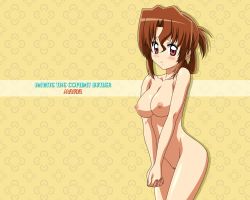 Rule 34 | 1girl, blush, breasts, brown hair, hayate no gotoku!, legs, maria (hayate no gotoku!), nipples, nude, nude filter, pussy, solo, tagme, thighs, third-party edit, uncensored