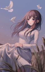 Rule 34 | 1girl, absurdres, bird, blue sky, blush, brown hair, clothes lift, crying, crying with eyes open, dove, dress, dress lift, grass, highres, long hair, long sleeves, myowa, original, outdoors, parted lips, plant, purple eyes, sky, solo, standing, tears, white dress