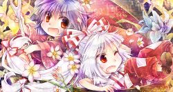 Rule 34 | 2girls, artist name, bowl, cherry blossoms, copyright name, dated, flower, fujiwara no mokou, hair ribbon, in bowl, in container, itozaki (itzk0110), japanese clothes, kimono, light purple hair, looking at viewer, mini person, minigirl, multiple girls, needle, ofuda, one eye closed, open mouth, orchid, pants, ponytail, red eyes, ribbon, short hair, short sleeves, sukuna shinmyoumaru, suspenders, torn clothes, torn sleeves, touhou, urban legend in limbo, watermark, white hair