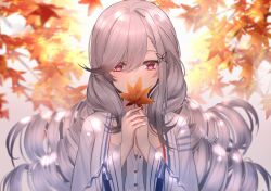 Rule 34 | 1girl, autumn leaves, azur lane, blush, breasts, butterfly hair ornament, covering own mouth, day, dress, drill hair, dunkerque (afternoon venus) (azur lane), dunkerque (azur lane), eternity (pixiv8012826), grey hair, hair between eyes, hair ornament, hat, highres, jewelry, large breasts, long hair, looking at viewer, outdoors, own hands together, quad drills, sidelocks, solo, swept bangs, white dress