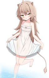 Rule 34 | 1girl, :o, absurdres, ahoge, animal ears, bare arms, bare shoulders, barefoot, brown hair, commentary request, dress, feet out of frame, frilled dress, frills, hair between eyes, hair intakes, highres, indie virtual youtuber, jiu (sdesd3205), lion ears, lion girl, lion tail, long hair, looking at viewer, parted lips, rurudo lion, rurudo lion (1st costume), see-through silhouette, shallow water, sleeveless, sleeveless dress, solo, standing, standing on one leg, sundress, tail, very long hair, virtual youtuber, water, wet, wet clothes, wet dress, white background, white dress, yellow eyes