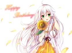 Rule 34 | 1girl, :d, ahoge, anceril sacred, bare arms, bare shoulders, black ribbon, bloom, blush, borrowed character, breasts, cowboy shot, dress, flower, green eyes, hair ribbon, tucking hair, happy birthday, head tilt, holding, holding flower, kure~pu, large breasts, long hair, looking at viewer, open mouth, original, petals, ribbon, sidelocks, silver hair, smile, solo, sundress, sunflower, tress ribbon, very long hair, white background, white dress