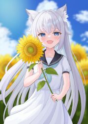 Rule 34 | 1girl, absurdres, animal ear fluff, animal ears, blue eyes, blue neckerchief, blue sailor collar, blurry, blurry background, blush, collarbone, commentary request, dress, fang, flower, grey hair, hand up, highres, holding, holding flower, long hair, looking at viewer, mikeran5648, neckerchief, open mouth, original, outdoors, puffy short sleeves, puffy sleeves, sailor collar, sailor dress, short sleeves, skin fang, smile, solo, straight-on, sunflower, upper body, very long hair, white dress