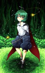 Rule 34 | 1girl, antennae, arms behind back, blue eyes, blush, bug, cape, dress shirt, female focus, fireflies, firefly, forest, green hair, harusame (unmei no ikasumi), highres, bug, nature, pants, shirt, short hair, smile, solo, touhou, wriggle nightbug