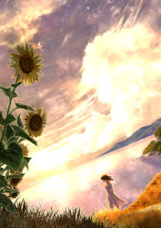 Rule 34 | 1girl, bug, cloud, cloudy sky, dragonfly, dress, flower, grass, highres, insect, kun52, lens flare, original, resolution mismatch, scenery, short hair, sky, solo, source smaller, sparkle, sunflower, water