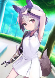 Rule 34 | 1girl, animal ears, arm up, armpits, blush, borrowed character, breasts, day, dress, expressionless, fox ears, fox girl, fox tail, grey hair, highres, jaana kettu, lolicom, looking at viewer, mechanical arms, original, outdoors, prosthesis, prosthetic arm, short hair, single mechanical arm, small breasts, sweat, tail, white dress