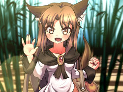 Rule 34 | 1girl, animal ears, bag, bamboo, bamboo forest, blush, breasts, brooch, brown eyes, brown hair, collarbone, dress, fangs, fingernails, food, forest, fruit, happy, holding, holding bag, imaizumi kagerou, jewelry, long hair, looking at viewer, nail polish, nature, open mouth, solo, standing, tail, touhou, volcano (artist), volcano (liao), wolf ears, wolf tail