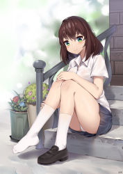 Rule 34 | 1girl, aqua eyes, artist name, blurry, blush, bra, breasts, brown hair, depth of field, dress shirt, dripping, feet, flower, hair between eyes, hand on own knee, head tilt, highres, knees together feet apart, knees up, loafers, looking at viewer, medium breasts, original, outdoors, panties, pantyshot, plant, pleated skirt, potted plant, school uniform, see-through, shiny skin, shirt, shoes, short sleeves, single shoe, sitting, sitting on stairs, skirt, smile, socks, solo, stairs, three rice, underwear, wet, wet clothes, wet hair, wet shirt, white socks