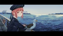 Rule 34 | 1girl, bird, blue dress, brown eyes, brown hair, clothes writing, dress, hat, kantai collection, letterboxed, lifebuoy, luicent, military, military hat, military uniform, ocean, railing, sailor collar, sailor dress, sailor hat, scenery, seagull, short hair, swim ring, uniform, z3 max schultz (kancolle)