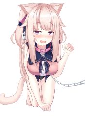 Rule 34 | 1girl, absurdres, animal ear fluff, animal ears, black panties, blush, cat ears, cat tail, chain, clenched hands, collar, collarbone, commentary request, empireo, hair ornament, highres, hoshifuri iku, kneeling, looking at viewer, open mouth, panties, pet play, pink collar, pink hair, prism project, purple eyes, simple background, solo, tail, underwear, virtual youtuber, white background