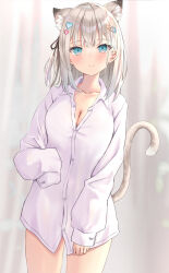 Rule 34 | 1girl, akino ell, animal ears, blue eyes, breasts, cat ears, cat girl, cat tail, cleavage, collarbone, collared shirt, cowboy shot, dress shirt, highres, long hair, long sleeves, looking at viewer, medium breasts, naked shirt, original, partially unbuttoned, shirt, smile, solo, tail, tail raised, white hair, white shirt