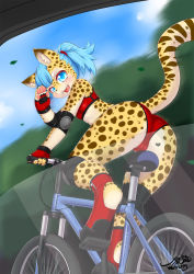 Rule 34 | 1girl, animal ears, animal hands, artist name, ass, bicycle, blue eyes, blue hair, blue sky, blush, breasts, cameltoe, claws, cleft of venus, cloud, day, elbow pads, fangs, female focus, fingerless gloves, furry, furry female, gloves, hair tie, hand up, heart, highres, knee pads, looking at viewer, matching hair/eyes, open mouth, original, ponytail, red footwear, red gloves, riding, signature, sky, small breasts, smile, solo, sports bra, tail, teeth, text focus, tree, waving, window, wolflong