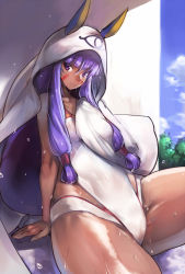 Rule 34 | 1girl, akinaie, animal ears, arm support, cameltoe, closed mouth, cloud, competition swimsuit, dark-skinned female, dark skin, day, earrings, facial mark, fate/grand order, fate (series), hood, hoop earrings, jewelry, long hair, looking at viewer, necklace, nitocris (fate), nitocris (fate/grand order), nitocris (swimsuit assassin) (fate), nitocris (swimsuit assassin) (second ascension) (fate), one-piece swimsuit, purple eyes, purple hair, sidelocks, sitting, sky, smile, solo, swimsuit, very long hair, water