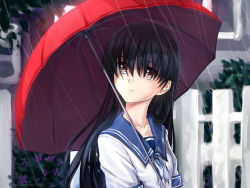 Rule 34 | atomix, black hair, brown eyes, denpa teki na kanojo, rain, tagme, umbrella