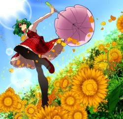 Rule 34 | 1girl, ascot, black pantyhose, blue sky, blurry, day, field, flower, flower field, frilled skirt, frills, from below, green hair, hair between eyes, jumping, kazami yuuka, lens flare, long sleeves, mary janes, outstretched arm, pantyhose, parasol, perspective, petals, pink umbrella, plaid, plaid skirt, plaid vest, red eyes, red footwear, red skirt, red vest, shirt, shitoo, shoes, short hair, skirt, sky, smile, solo, sun, sunflower, sunflower field, touhou, umbrella, vest, white shirt, yellow flower