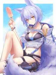 Rule 34 | 1girl, 3 (sanyako1), absurdres, animal ears, arknights, black shorts, breasts, cleavage, fluffy, food, highres, hip vent, holding, holding food, holding popsicle, jacket, knee up, large tail, long sleeves, looking at viewer, medium breasts, midriff, navel, official alternate costume, popsicle, provence (arknights), provence (casual vacation) (arknights), short hair, short shorts, shorts, smile, solo, tail, white jacket, wolf ears, wolf girl, wolf tail, yellow eyes