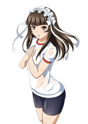 Rule 34 | 1girl, bike shorts, black shorts, breasts, brown eyes, brown hair, female focus, gym uniform, hairband, hands on own chest, ikkitousen, long hair, see-through, short sleeves, shorts, small breasts, solo, ten&#039;i (ikkitousen), wet, wet clothes, white background