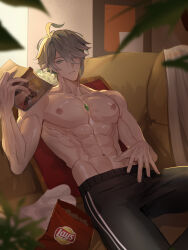 Rule 34 | 1boy, abs, absurdres, aether (genshin impact), ahoge, alhaitham (genshin impact), bare pectorals, black pants, blurry, blurry foreground, book, chest jewel, chips (food), collarbone, couch, cover, cover page, cropped legs, food, gem, genshin impact, green eyes, green gemstone, grey hair, ha ze, hair between eyes, hand on own crotch, hand up, highres, holding, holding book, large pectorals, looking at viewer, male focus, muscular, muscular male, navel, nipples, on couch, pants, parted bangs, parted lips, pectorals, pillow, plant, potato chips, product placement, short hair, sidelocks, sitting, solo, toned, toned male, topless male