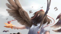 Rule 34 | 1girl, bird, brown hair, crow, from behind, hat, outstretched arm, pointy ears, puffy sleeves, shameimaru aya, shirt, short hair, short sleeves, solo, string, tokin hat, touhou, upper body, wings, zzzzzzzzzzzzzzp