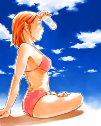 Rule 34 | 1girl, arm support, bad id, bad pixiv id, barefoot, bikini, bottle, cloud, day, feet, kow (k.), kow (kow0117), original, pointy ears, profile, red hair, shading eyes, sitting, sketch, sky, solo, swimsuit
