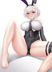 Rule 34 | 1girl, animal ears, arms behind back, azur lane, bare legs, bare shoulders, barefoot, blush, breasts, closed mouth, fake animal ears, groin, hands on floor, large breasts, legs, leotard, looking at viewer, no shoes, official alternate costume, on floor, playboy bunny, purple eyes, rabbit ears, reno (azur lane), reno (reno bunnino) (azur lane), short hair, sitting, smile, solo, spread legs, thighs, toes, togare, white background, white hair